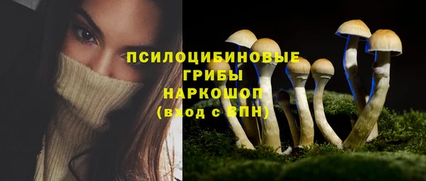амф Богданович