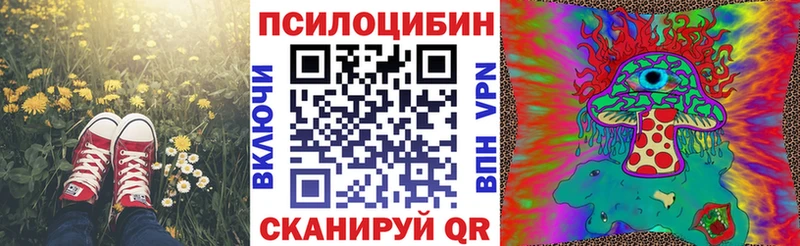 Псилоцибиновые грибы ЛСД  где найти   дарк нет какой сайт  Кашин 